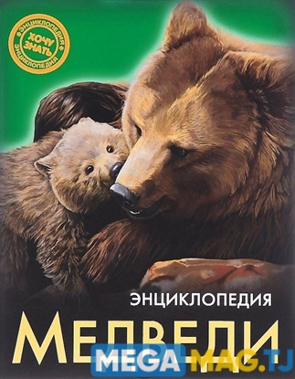 Изображение Энциклопедия медведи